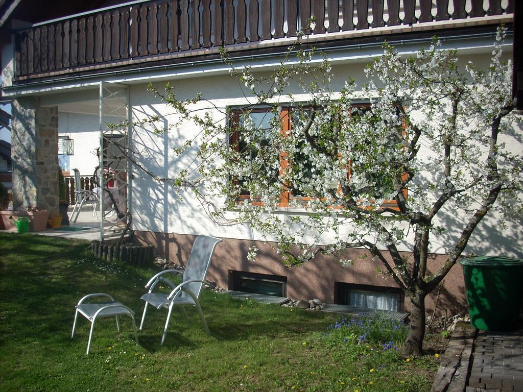 Ferienwohnung Lahntal/Taunus Huttenberg Esterno foto