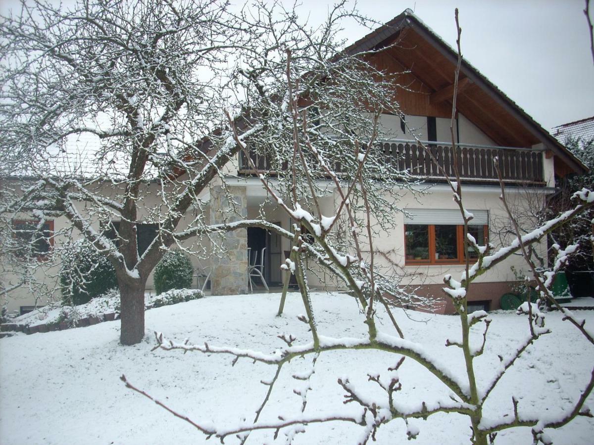 Ferienwohnung Lahntal/Taunus Huttenberg Esterno foto